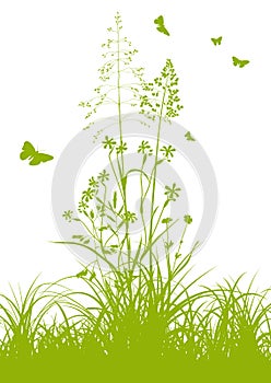 Fresh Green Grass with Herbage and Butterflies photo