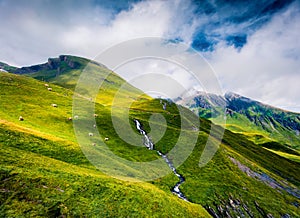 Fresh green grass on the mountain pasture. Picturesque morning scene of Grindelwald village hills. Colorful summer view of  Bernes