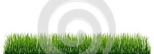 Fresh green grass: natural, organic, bio, eco label and shape isolated on white background.