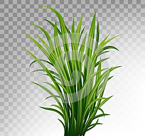 Fresh green grass: natural, organic, bio, eco label and shape isolated on white background.