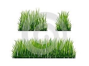 Fresh green grass: natural, organic, bio, eco label and shape isolated on white background.