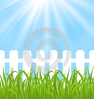 Fresh green grass over wood fence background