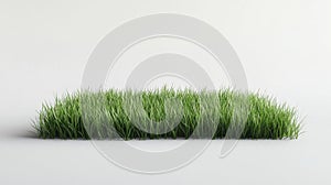 Fresh Green grass patch on White, evokes Nature Concept and Minimalism