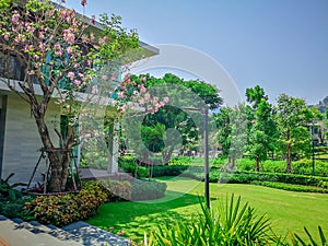 Fresh green grass smooth lawn as carpet on backyard with flowering tree and bush, greenery trees on background, good maintenance