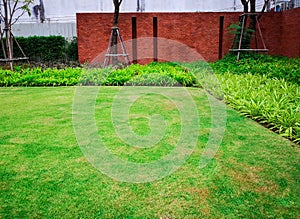 Fresh green grass smooth lawn as a carpet and curve form of bush, orange brick wall and trees on background, good care maintenance