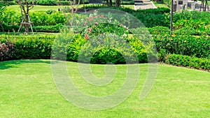 Fresh green grass smooth lawn as a carpet with curve form of bush, trees on the background, good maintenance landscapes in garden