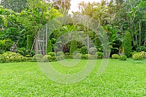 Fresh green grass smooth lawn as a carpet with curve form of bush, trees in a backyard, good maintenance landscapes