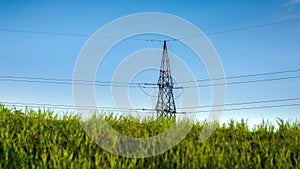 Fresh green grass swaying under wind against high voltage power line. Concept of green electricity, renewable power and energy,