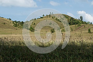 The fresh green grassy hills in a sunny day, Phu Khao Ya, Ranong, Thailand