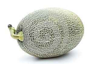 Fresh green hami melon on white