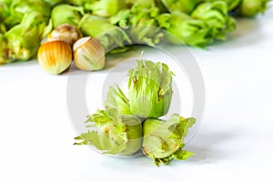 Fresh green hazelnuts