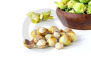 Fresh green hazelnuts cobnuts