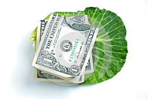 Fresh green head of cabbage and one american dollar in it on an isolated background