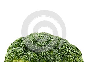 Fresh green head of calabrese broccoli