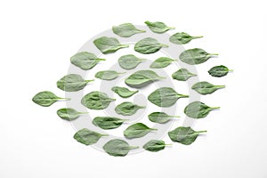 Fresh green healthy spinach leaves on background, top view