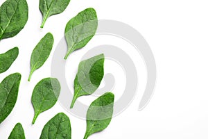 Fresh green healthy spinach leaves on white background