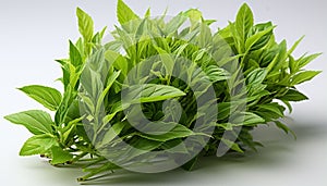 Fresh green herb, healthy food, organic seasoning, culinary ingredient generated by AI