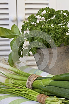 Fresh Green Herbs Close Up