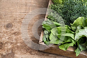 Fresh green herbs in crate on wooden table. Space for text