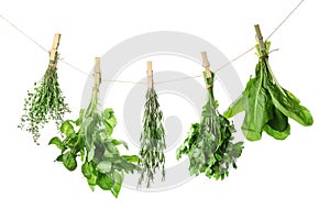 Fresh green herbs hanging on rope