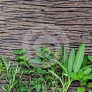 Fresh green herbs harvest from garden.