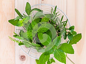 Fresh green herbs harvest from garden in the basket