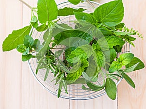 Fresh green herbs harvest from garden in the basket