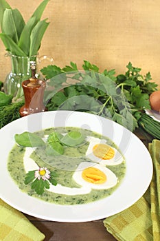 Fresh green herbs soup with eggs