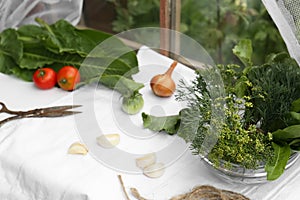 Fresh green herbs, tomatoes, garlic cloves and onion on table indoors