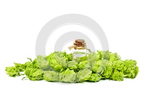 Fresh green hop cones with bottle of oil isolated on white