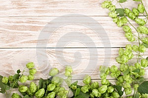 Fresh green hop cones on white wooden background. Ingredient for beer production. Top view with copy space for your text