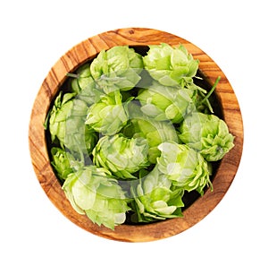 Fresh green hops branch in olive bowl, isolated on a white background. Hop cones with leaf. Organic Hop Flowers. Top