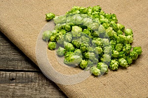 Fresh green hops on burlap background. Top view