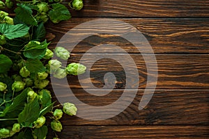 Fresh Green Hops on Dark Rustic Wooden Surface