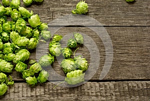 Fresh green hops on a wooden table
