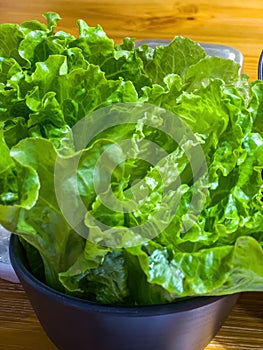 Fresh green ingredients lettuce close-up photo