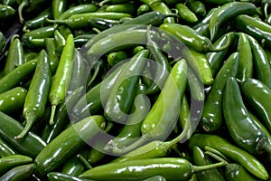 Fresh Green Jalapenos