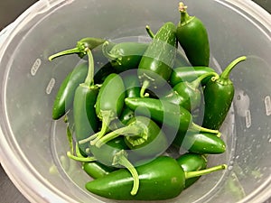 Fresh Green JalapeÃ±o Peppers in Plastic Bowl