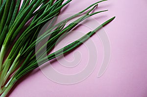 Fresh green juicy onion with long feathers