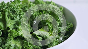 Fresh green kale salad with olive oil in white bowl. Healthy food concept.