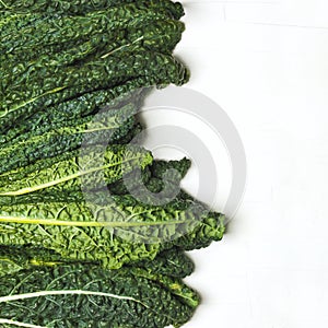 Fresh Green Kale on white background
