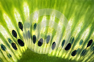 Fresh Green Kiwi Fruit Macro Closeup w/ Seeds photo