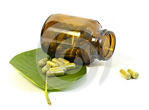 Fresh green Kratom leaves and natural herbal medicine powder capsules