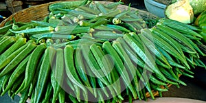 fresh green ladyfingers isolated stock on wooden basket at vegetable store