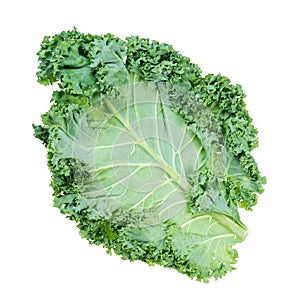 fresh green leaf of curly-leaf kale (leaf cabbage