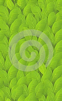 Fresh green leaf pattern illustration