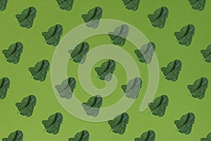 Fresh green leaf of spinach on a green background . Creative co