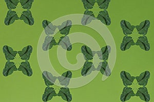Fresh green leaf of spinach on a green background . Creative co