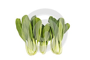 Fresh green leafy bok choy vegetable isolated in white.