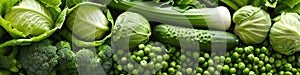 Fresh Green Leafy Vegetables Assortment Panorama